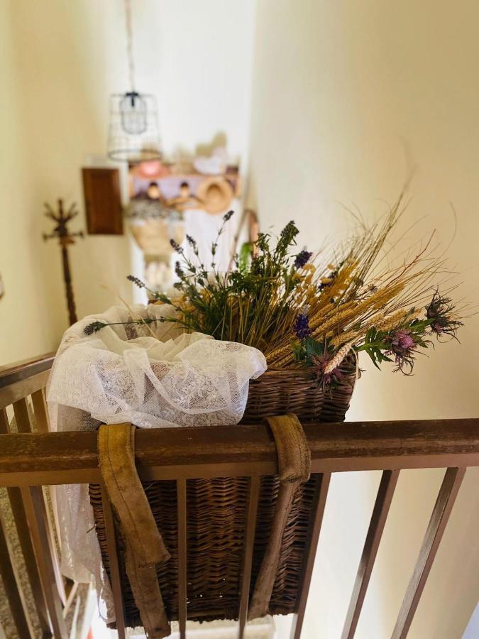 Bed and Breakfast Anticacascina Quarto  Exteriér fotografie